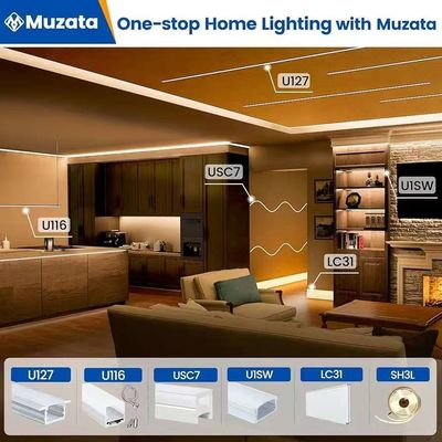 Zewnętrzny wodoodporny 12/24V silikonowy pas LED dla dekoracji domu Neon LED Strip Lights Biały 16,4ft/5m Neon Light Strip 12V silikonowy wodoodporny elastyczny LED Neon Lights dla sypialni Festiwal